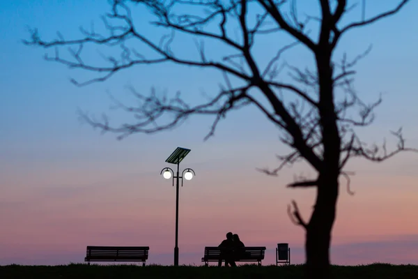 Šťastný pár v lásce na lavičce unde strom v noci — Stock fotografie