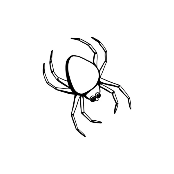 Cute Spider Halloween Black White Hand Drawn Vector Illustration — Stock Vector