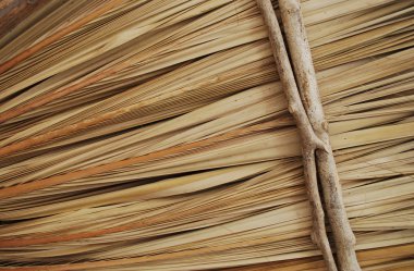 PALAPA yakın çekim