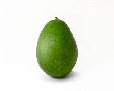 Green Avocado stand on white background.