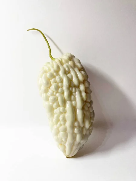 white jade balsam pear on white background