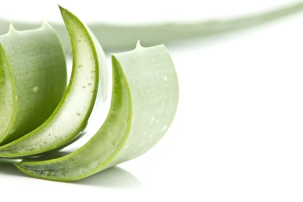 Aloe vera — Stock fotografie