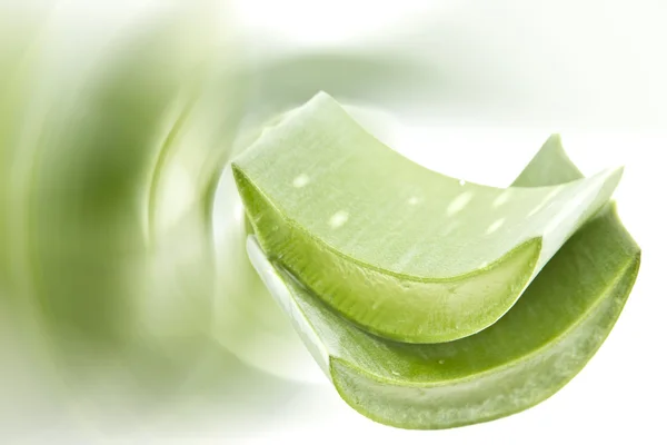 Aloe vera — Fotografia de Stock