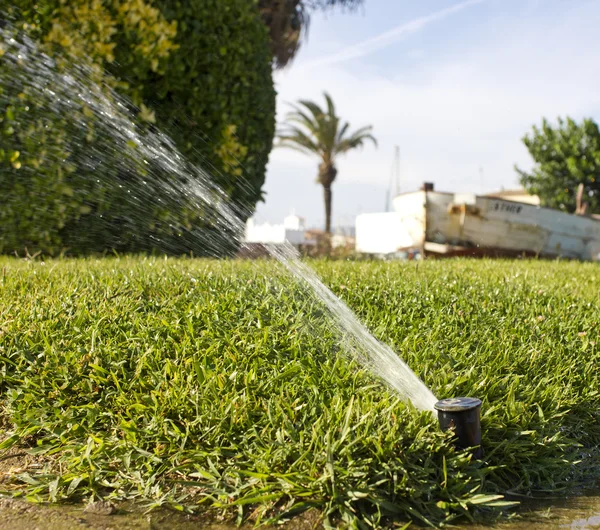 Spruzzatore d'acqua — Foto Stock