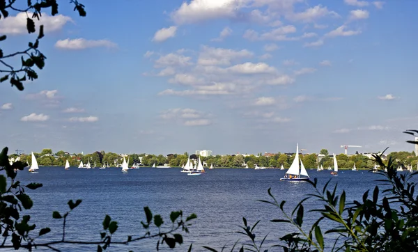 Segelbåtar i en sjö — Stockfoto