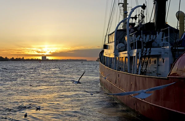Gün batımında demirleyen gemi — Stok fotoğraf