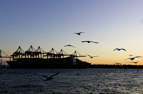 Containerschiff bei Sonnenuntergang — Stockfoto