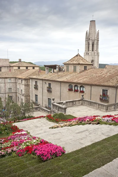 Blommor tid i girona Stockbild