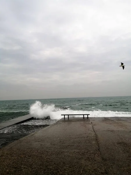 Verticaal Schot Van Een Bankje Aan Zee Met Een Bewolkte — Stockfoto