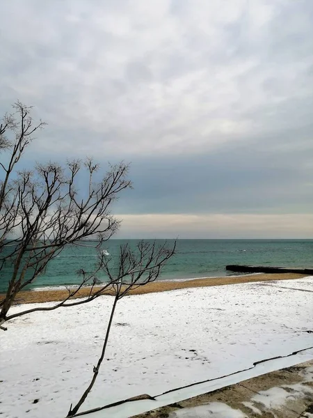 冬を背景に木々が生い茂るオデッサ市の黒海と灰色の空と桟橋 — ストック写真