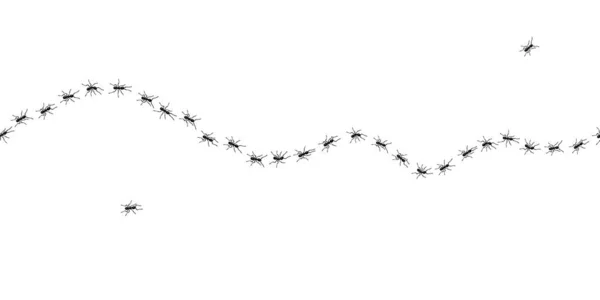 Línea de sendero de hormigas obreras diseño plano vector ilustración aislado sobre fondo blanco. — Archivo Imágenes Vectoriales