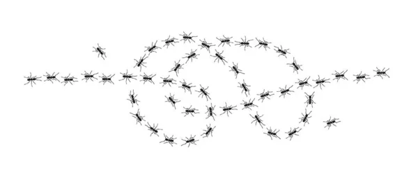 Robotnicze mrówki szlak linia płaski styl projekt wektor ilustracja izolowane na białym tle. — Wektor stockowy
