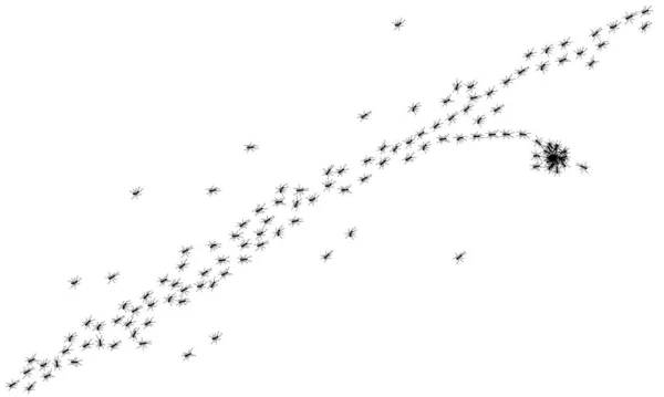 Εργάτης μυρμήγκια διαδρομή γραμμή επίπεδη στυλ σχεδιασμού διανυσματική απεικόνιση απομονώνονται σε λευκό φόντο. — Διανυσματικό Αρχείο