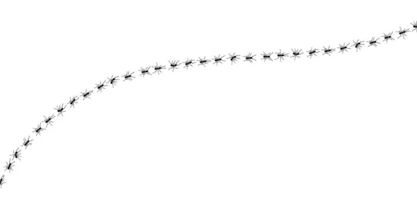 Werknemers mieren trail lijn platte stijl ontwerp vector illustratie geïsoleerd op witte achtergrond. — Stockvector