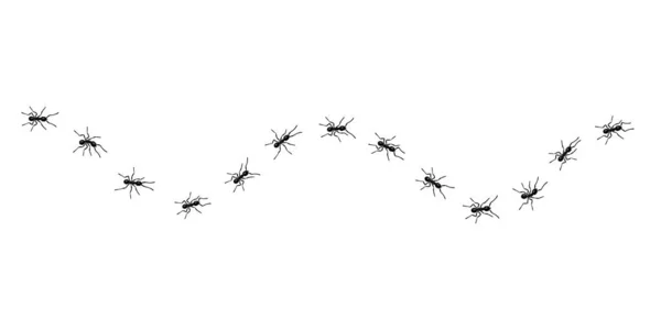 Robotnicze mrówki szlak linia płaski styl projekt wektor ilustracja izolowane na białym tle. — Wektor stockowy