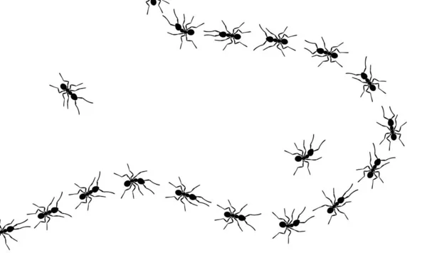 Робочі мурахи слідують за лінією плоского стилю Векторні ілюстрації ізольовані на білому тлі . Стокова Ілюстрація
