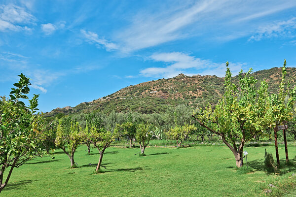 Sicily Landscape