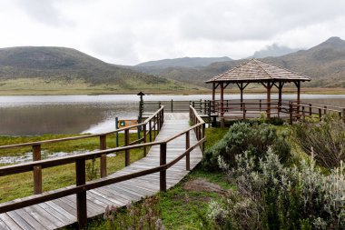 Cotopaxi Ulusal Parkı. Yağmurlu bir günde Limpiopungo Gölü 'nde gözlem güvertesi ve ahşap geçit. Cotopaxi ili, Ekvador
