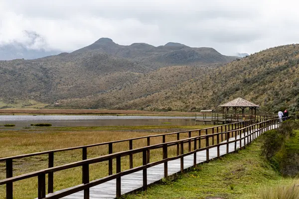 Parque Nacional Cotopaxi Plataforma Observación Pasarela Madera Lago Limpiopungo Día — Foto de Stock