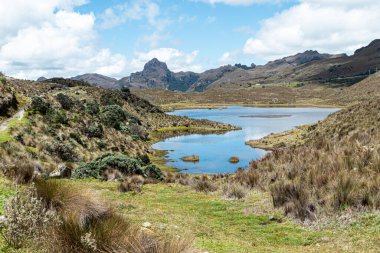 Dağ Gölü Apicocha Cajas Ulusal Parkı 'nda güneşli bir günde, Toreadora dinlenme bölgesi. Güney Amerika, Ekvador, Cuenca 'ya yakın Azuay vilayeti