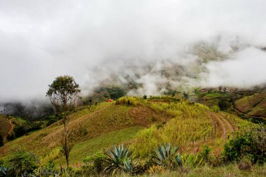 Toprak yolda panoramik manzara ve yağmurlu bir günde Ekvador And Dağları 'ndaki Ucumari köyü. Ekvador 'da. Azuay ili, Nabon kantonu.