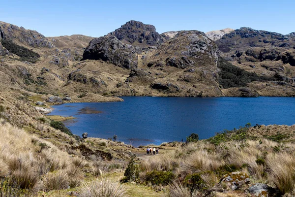 Cajas National Park Toreadora Lake Mountain Landscape Ecuador Close City — Stok fotoğraf