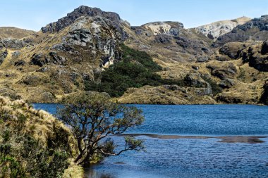 El Cajas National park, Toreadora lake. Mountain landscape. Ecuador, close to city Cuenca 