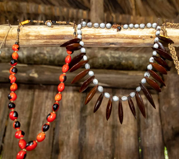 Botanical Jewelry Necklace Wayuri Community Pastaza Province Made Different Plants — Stock Photo, Image