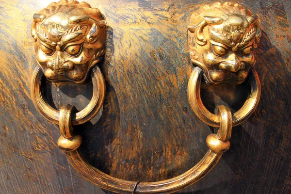 Brass lion — Stock Photo, Image