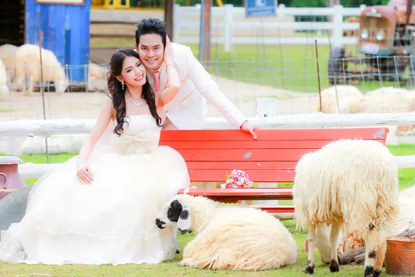 Young bride and groom — Stock Photo, Image