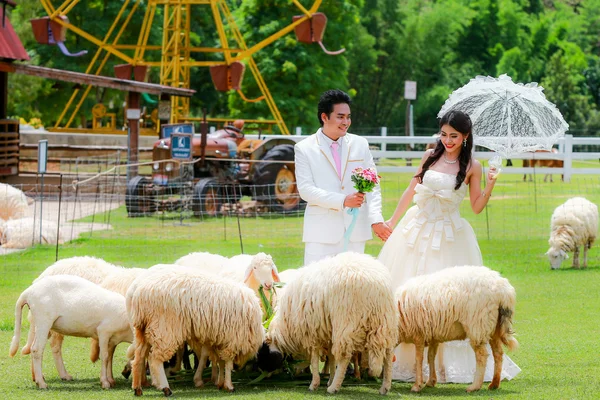 Genç gelin ve damat — Stok fotoğraf