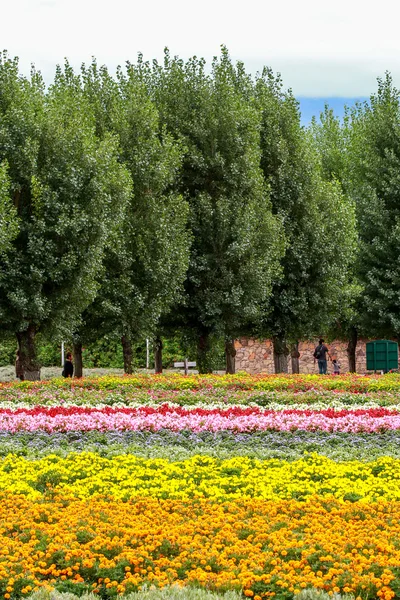 Blomsterhave - Stock-foto