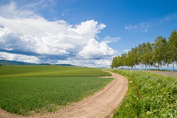 Agricoltura — Foto Stock