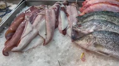 Video deniz ürünleri ve mürekkepbalığı pişirmeye hazırlanmak için buza koyun..