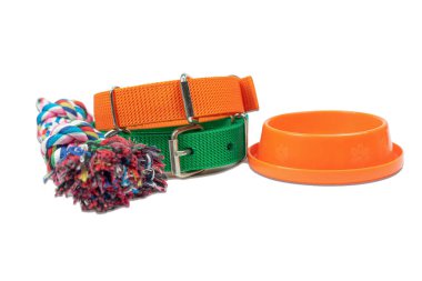 Köpek tasmaları ve izole edilmiş beyaz kaseler. Evcil hayvan dükkanı