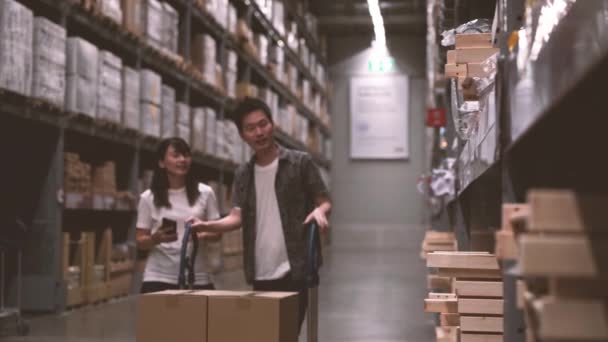 Resolution Couple Shopping Large Houseware Store Warehouse Shopping Cart — Stok Video