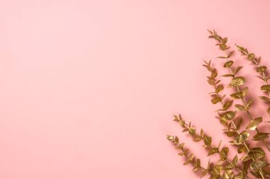 Altın palmiye yaprakları pembe arka planda yatıyordu.