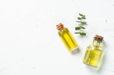 Okaliptüs kozmetik, beyaz arkaplanda spa ürünü.