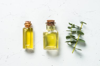 Okaliptüs kozmetik, beyaz arkaplanda spa ürünü.