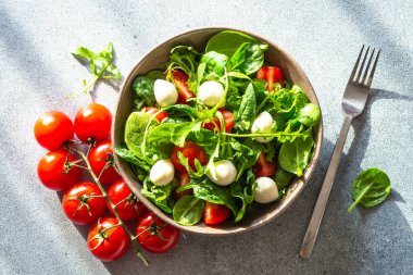 Taze yapraklı yeşil salata, domates ve gölgeli güneşli masada mozzarella. Üst görünüm.
