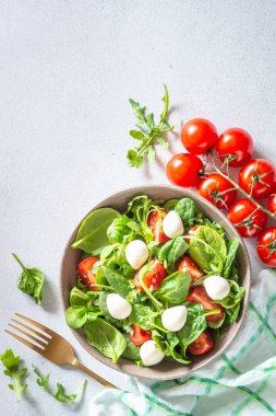 Taze yapraklı yeşil salata, domates ve mozzarella. Üst görünüm, alanı kopyala.
