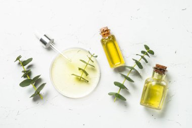 Okaliptüs yağı. Beyaz arka planda gerekli yağ şişesi olan cam petri kabı. Kozmetik Laboratuarı.