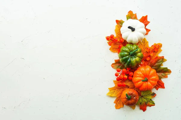 Herbst Flach Lag Hintergrund Bei Weiß Isoliert Kürbisse Und Herbstblätter — Stockfoto