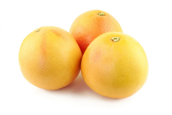 Tre grapefrukt — Stockfoto