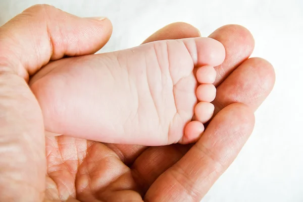 Sole in palm — Stock Photo, Image