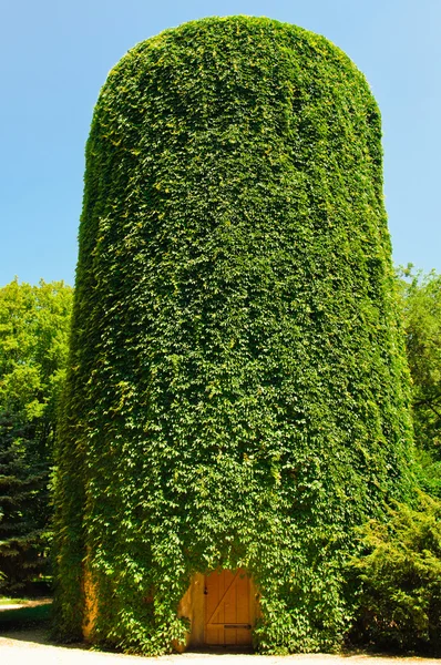 Torre de água velha — Fotografia de Stock