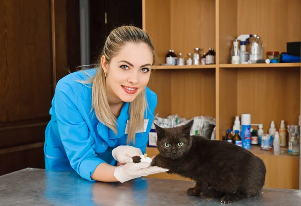 Veterinaire vrouw — Stockfoto