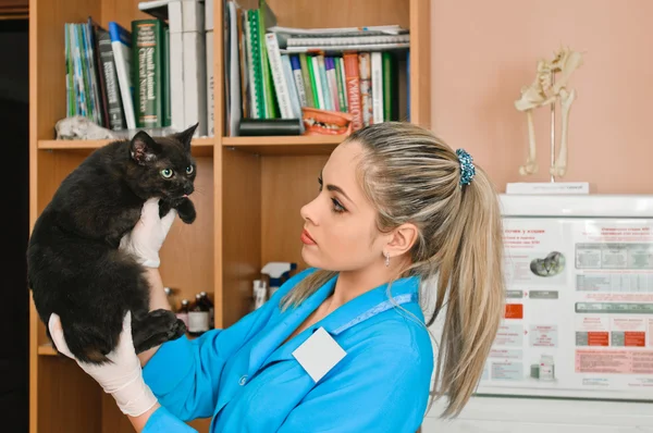 Mujer veterinaria —  Fotos de Stock