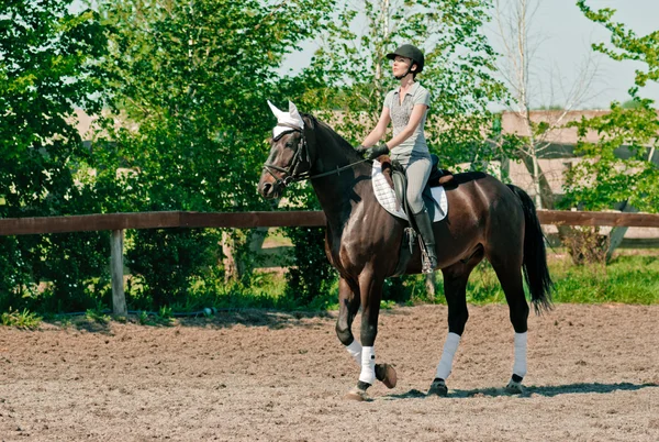 Equitazione — Foto Stock