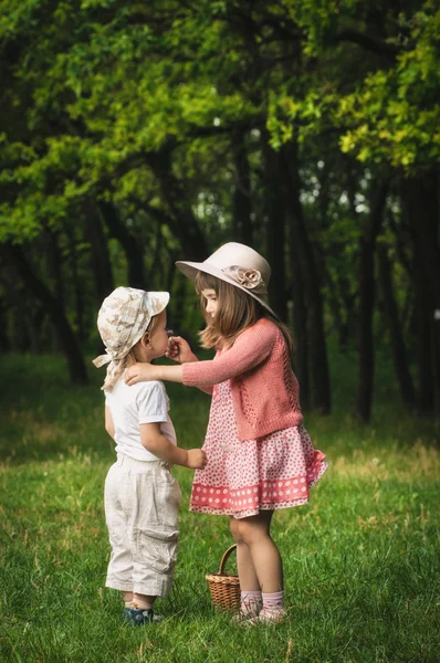 Erste Blüten — Stockfoto